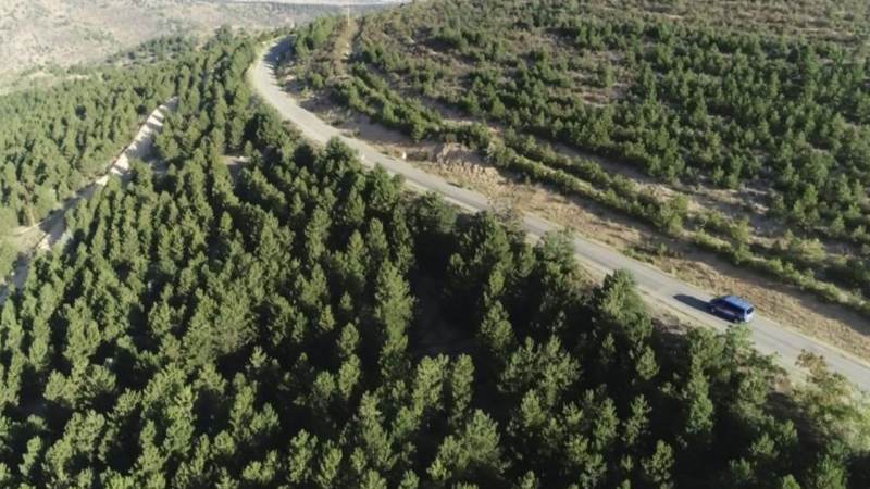 Kavga ettiği amcasını sokak ortasında tabancayla vurdu