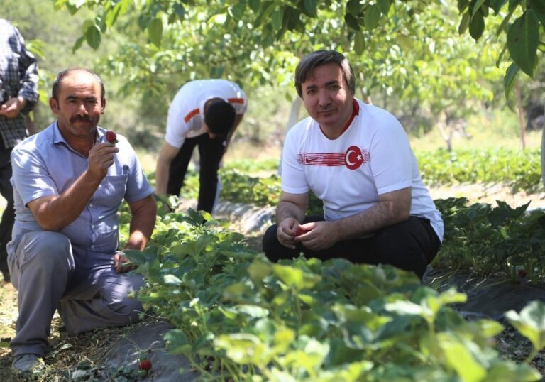 Aile, Çalışma ve Sosyal Hizmetler Bakanı Zehra Zümrüt Selçuk’tan Bayram müjdesi