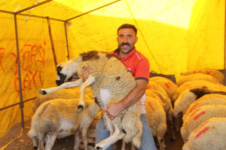 Covid-19 korkusu ile Kurban pazarları boş kaldı