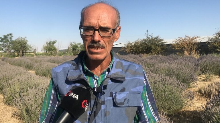 Ektiği lavantayla köyü karasineklerden temizledi