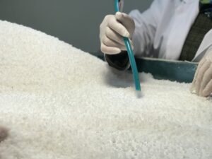 Mineral deposu Delice tuzu, 3 yılda dünyaya adını duyurdu: 9 ülkeye ihraç ediliyor