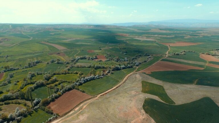 Sulu tarım ülke ekonomisine 35 milyon katkı sağladı