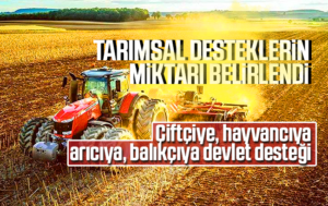 Tarımsal desteklerin şartları belirlendi
