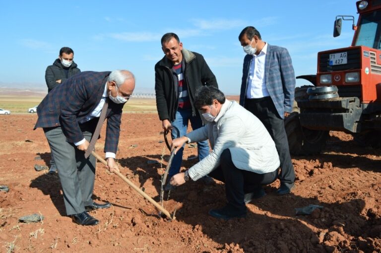 Kırıkkale’de ’KOP ile Sürdürülebilir Küçükbaş Hayvancılık’ projesi