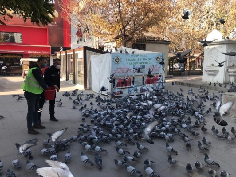 Kırıkkale’de sokak hayvanlarına şefkat eli