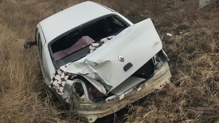 Otomobil şarampole devrildi: 2 yaralı