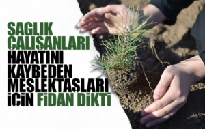 Kırıkkale’de sağlık çalışanlarından fidan dikim etkinliği