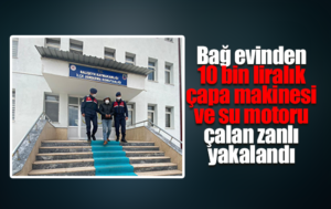 Bağ evinde hırsızlık yapan zanlı yakalandı