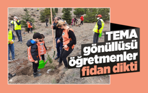 Kırıkkale’de TEMA gönüllüsü öğretmenler fidan dikti