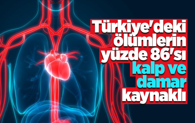 Türkiye’deki ölümlerin yüzde 86’sı kalp ve damar kaynaklı