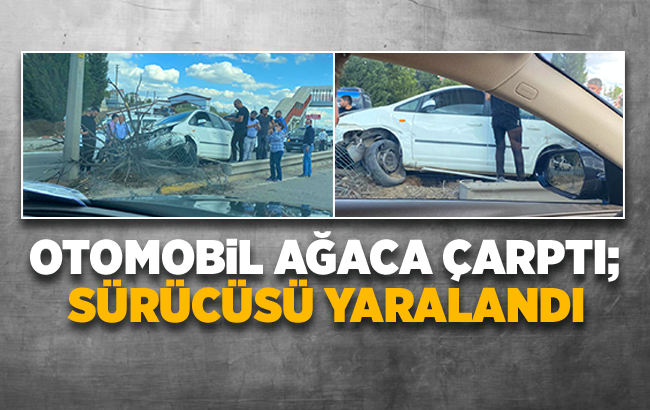 Otomobil ağaca çarptı; 1 yaralı