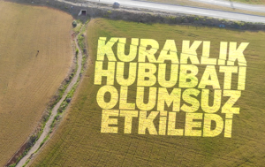 Kuraklık hububat üretimini olumsuz etkiledi