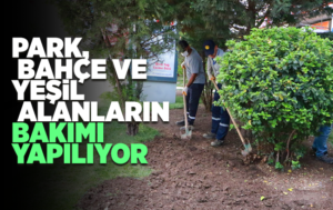 Kırıkkale’de park ve bahçelerin bakımı yapılıyor