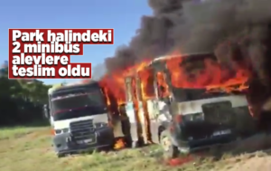 Park halindeki iki minibüs alev topuna döndü