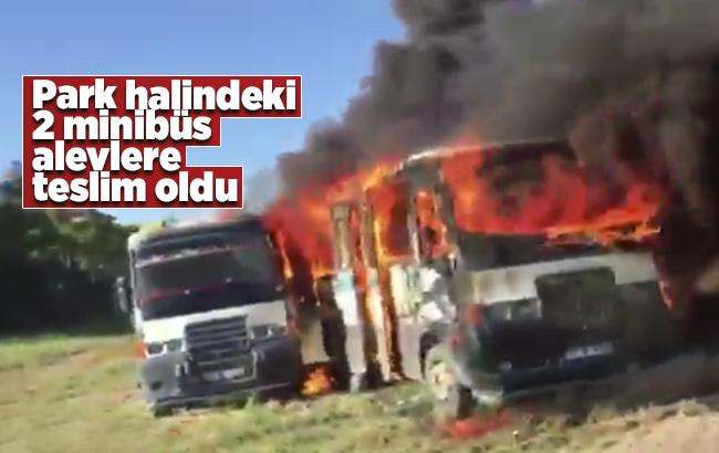 Park halindeki iki minibüs alev topuna döndü