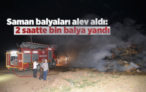 Kırıkkale’deki yangında bin saman balyası yandı