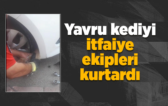 Yavru kedi, itfaiye ekipleri tarafından kurtarıldı