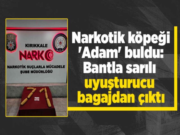 Narkotik köpeği ‘Adam’ buldu: Bantla sarılı uyuşturucu bagajdan çıktı