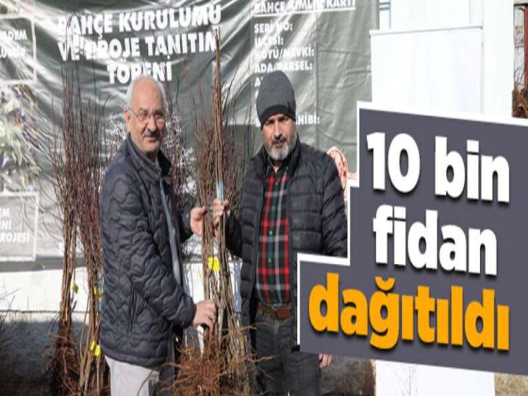 Çiftçilere 10 Bin Fidan Dağıtıldı