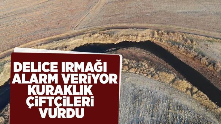 Kızılırmak nehrini besleyen Delice ırmağı alarm veriyor: Kuraklık çiftçileri vurdu