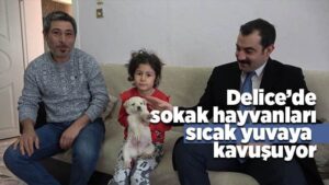 Sokaktan sahiplenilen ‘canlar’ sıcak yuvaya kavuşuyor