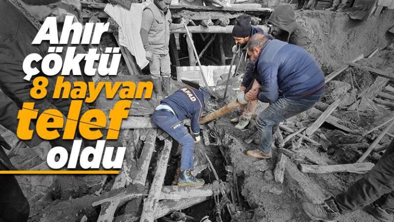 Ahır çöktü! 2 kadın yaralandı, 8 hayvan telef oldu