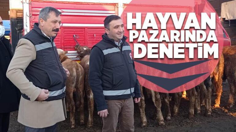 Hayvan pazarına denetim