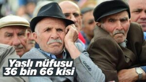 Yaşlı nüfusu 36 bin 66 kişi