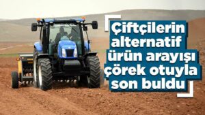 Kuraklığa çörek otlu çözüm