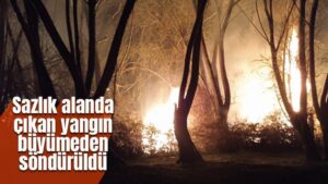 Kırıkkale’de sazlık alanda çıkan yangın söndürüldü