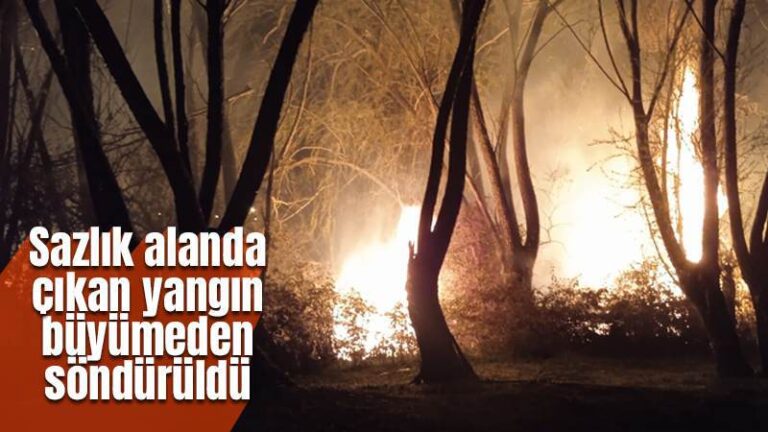 Kırıkkale’de sazlık alanda çıkan yangın söndürüldü