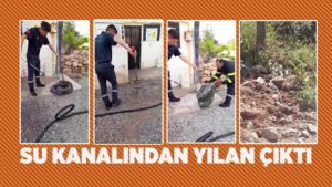 Evin su kanalına giren yılanı itfaiye çıkardı