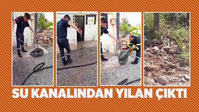 Evin su kanalına giren yılanı itfaiye çıkardı