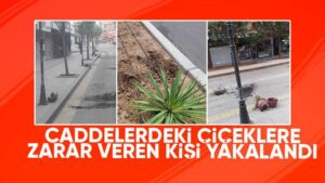 Kırıkkale’de caddelerdeki çiçeklere zarar veren kişi yakalandı