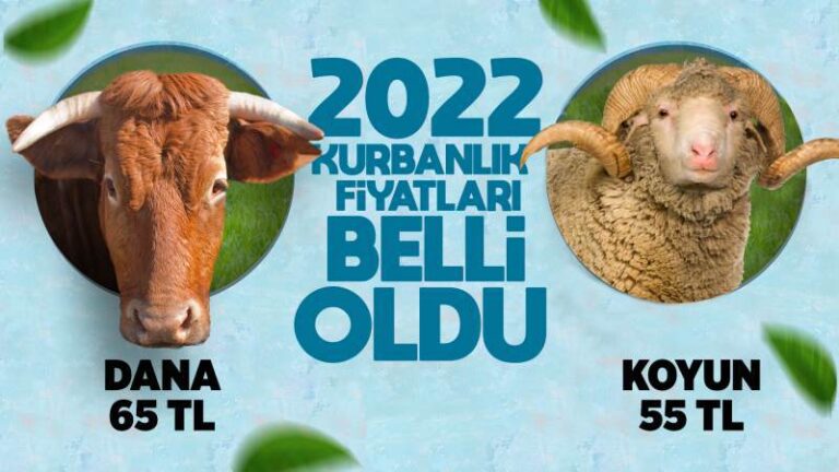 Kurbanlık fiyatları belirlendi! Dana 65 TL, koyun 55 TL!
