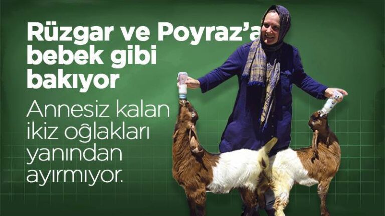 “Rüzgar” ve “Poyraz”a bebek gibi bakıyor