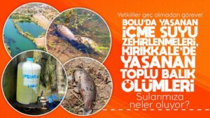 Yetkililer geç olmadan göreve!