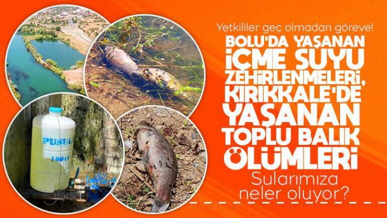 Yetkililer geç olmadan göreve!