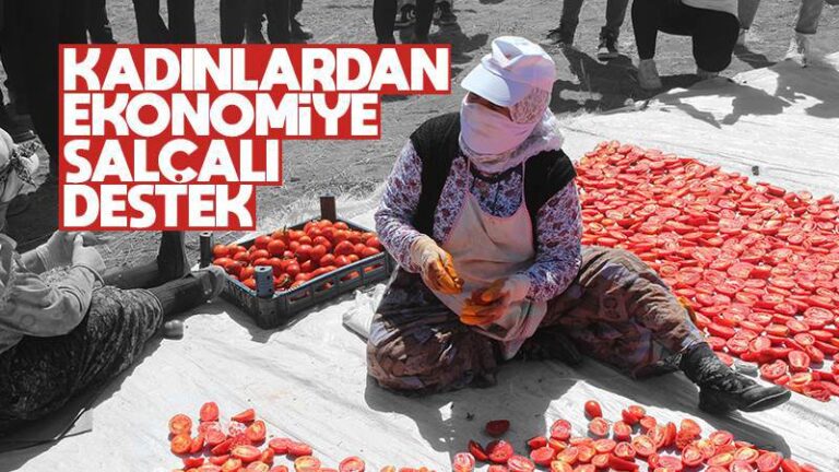 Ekonomiye kadınlardan salçalı destek