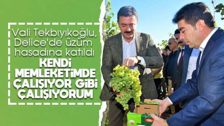 Vali Tekbıyıkoğlu, Delice’de incelemelerde bulundu