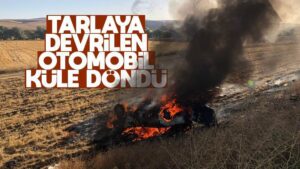 Tarlaya devrilen otomobil küle döndü!