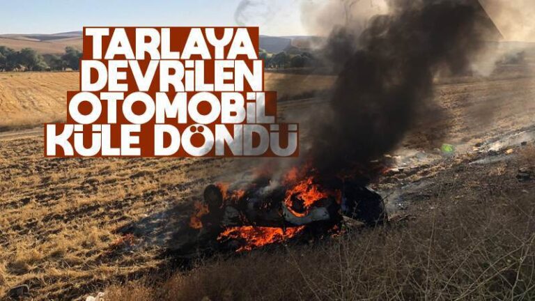 Tarlaya devrilen otomobil küle döndü!