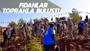 Fidanlar toprakla buluştu