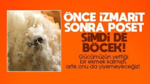Üçüncü ekmek vakası! İçinden böcek çıktı!