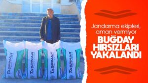 Çalınan buğdaylar çiftçiye teslim edildi