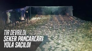 Devrilen tırdan dökülen şeker pancarları ulaşımı aksattı