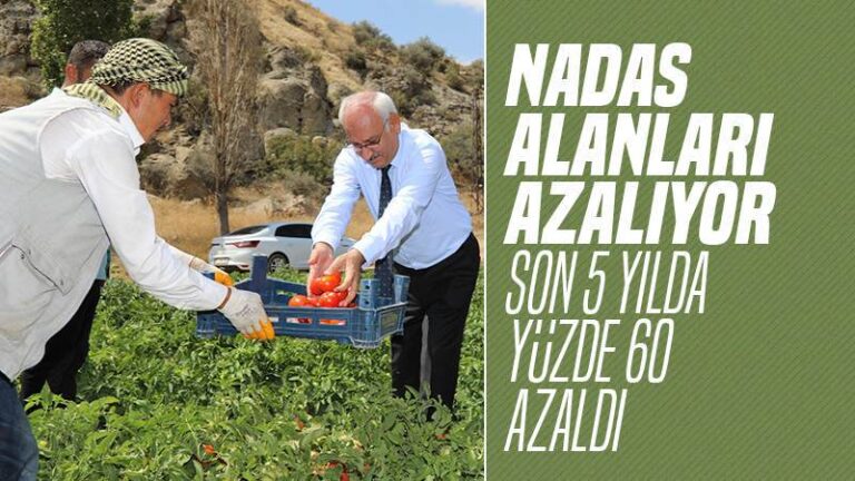 Nadas alanları azalıyor