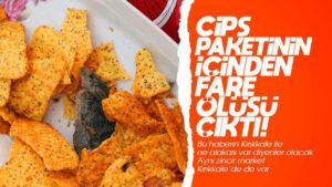 Cipsin içerisinden fare çıktı!