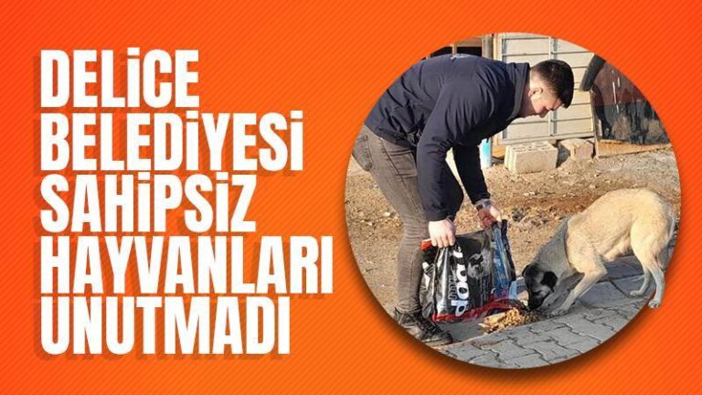 Delice Belediyesinden sahipsiz hayvanlar için mama desteği