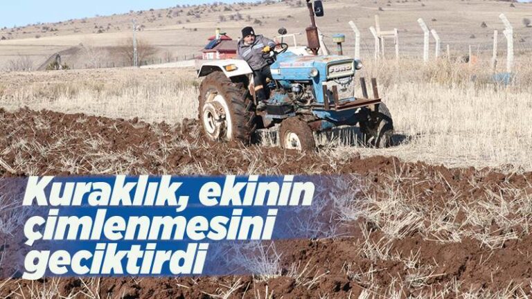 Orta Anadolu’daki kuraklık ekinin çimlenmesini geciktirdi